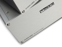 Channel Islands D500 MKII Monoblocks