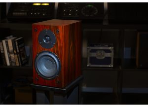 The Vera-Fi Vanguard Scout Speakers