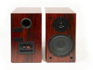 The Vanguard Scout Speakers - From VeraFi