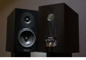 The Penaudio Lumi Speakers