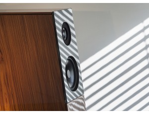 The Audio Physic Avanti Speakers