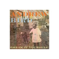 Andrew Bird